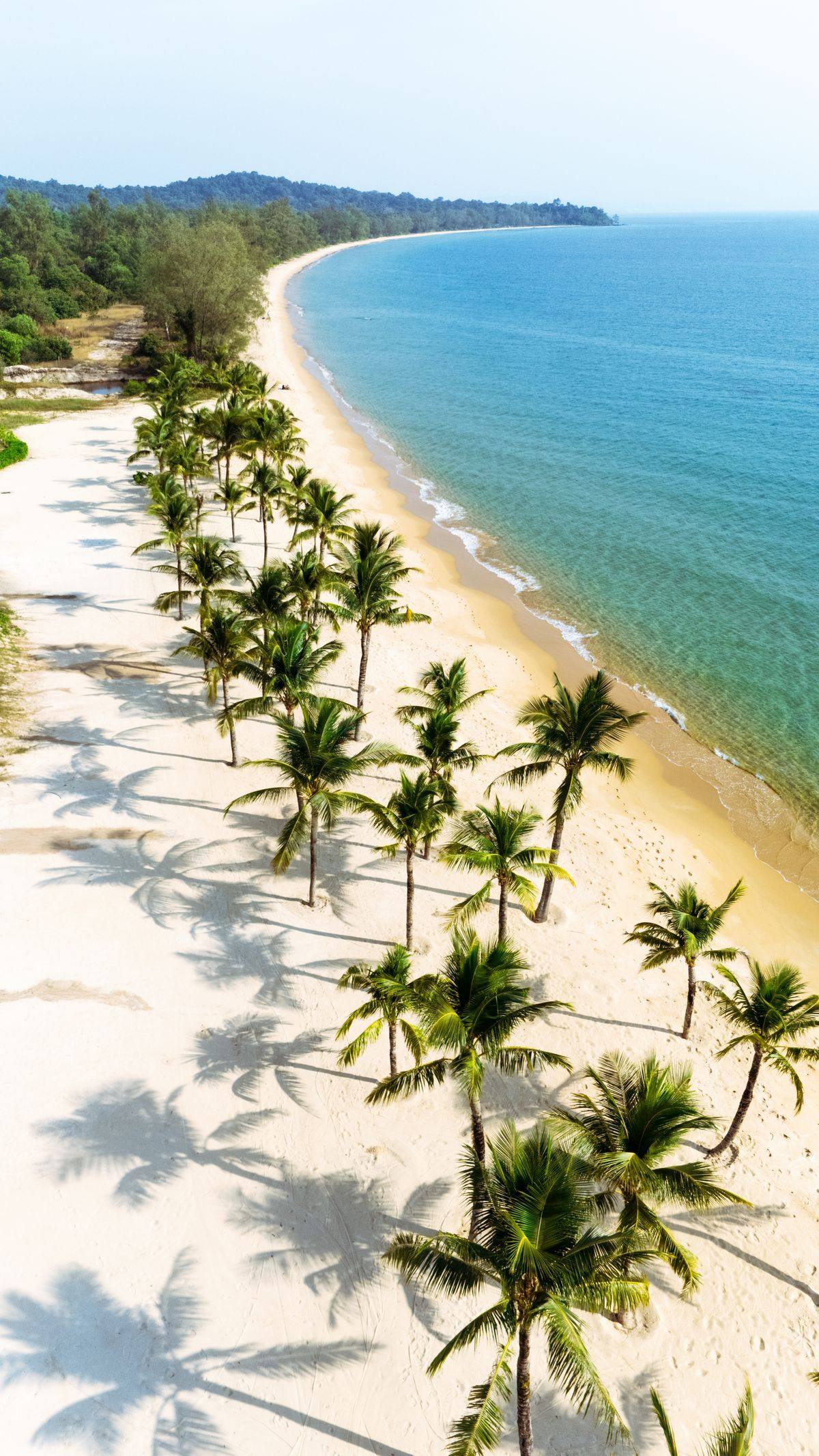 Playa de arena blanca con palmeras y mar turquesa en el Caribe