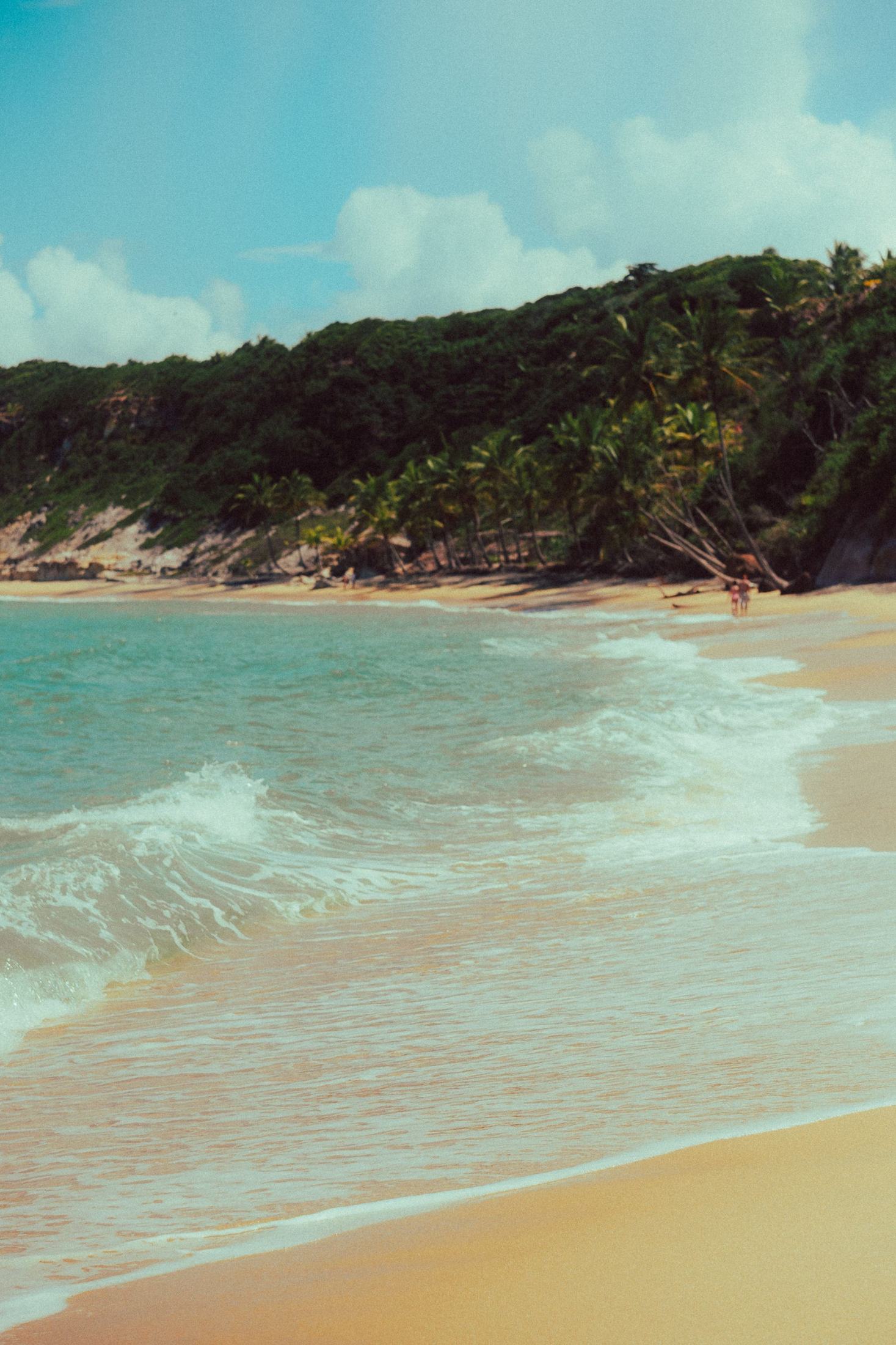 Playa con cocoteros y acantilado verde en el sur de Bahía, Brasil