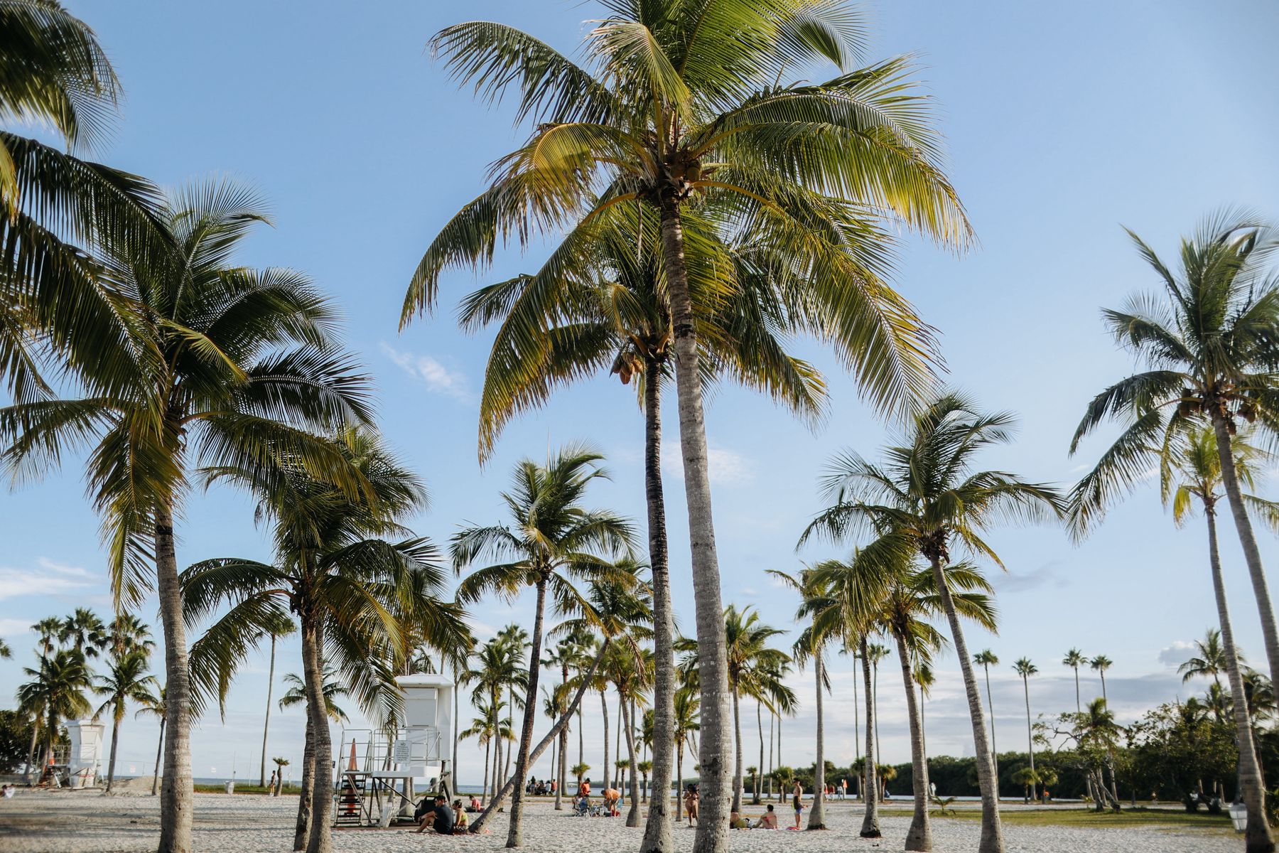 Playa y edificios de Miami Beach, Estados Unidos